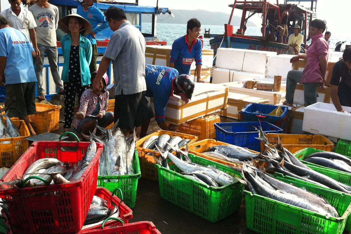 Khai thác thủy sản